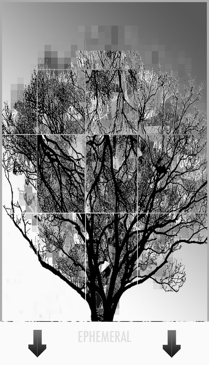 link to pdf link to pdf